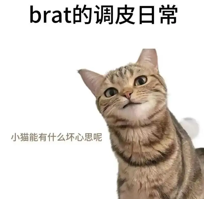 西檬之家Brat属性是什么？字母圈性格解析 一