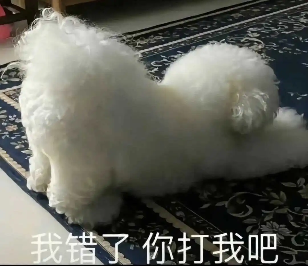 西檬之家字母圈Sub是什么？ 一