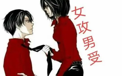 西檬之家k8猫系是什么意思？字母圈新人入门 一