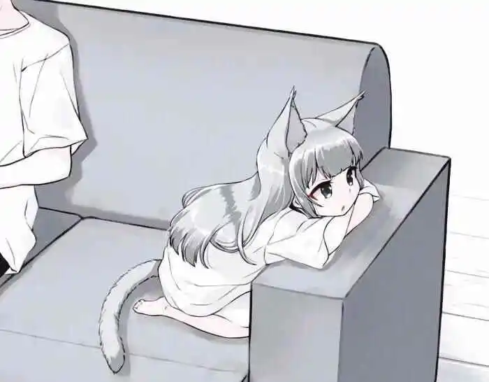 西檬之家sp小圈是什么意思? 一