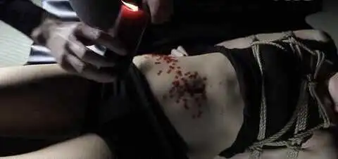 西檬之家字母圈SP是什么意思? 一