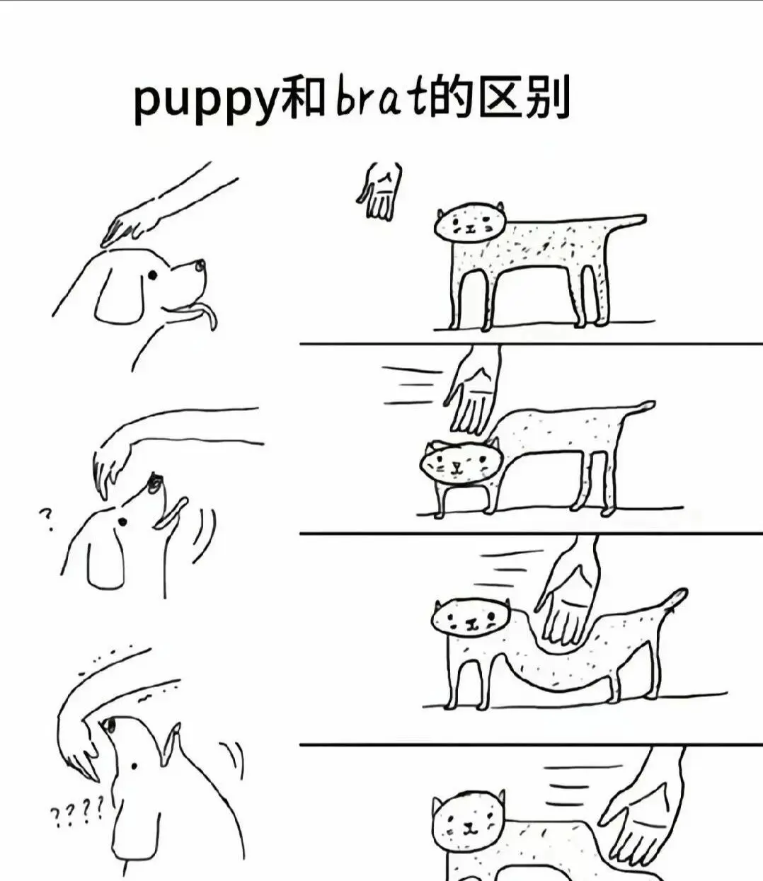 西檬之家字母圈里的K8是什么? 一