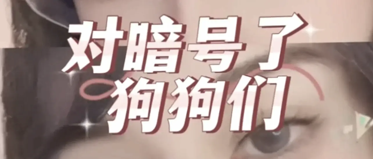 西檬之家k8猫系是什么意思？ 一
