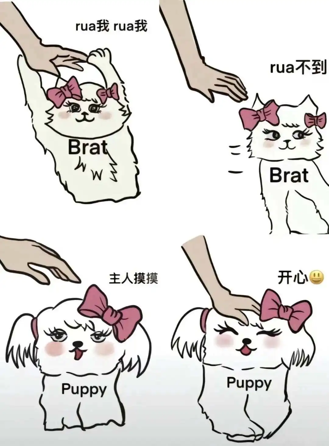 西檬之家K8是什么?你的猫咪属性解锁 一