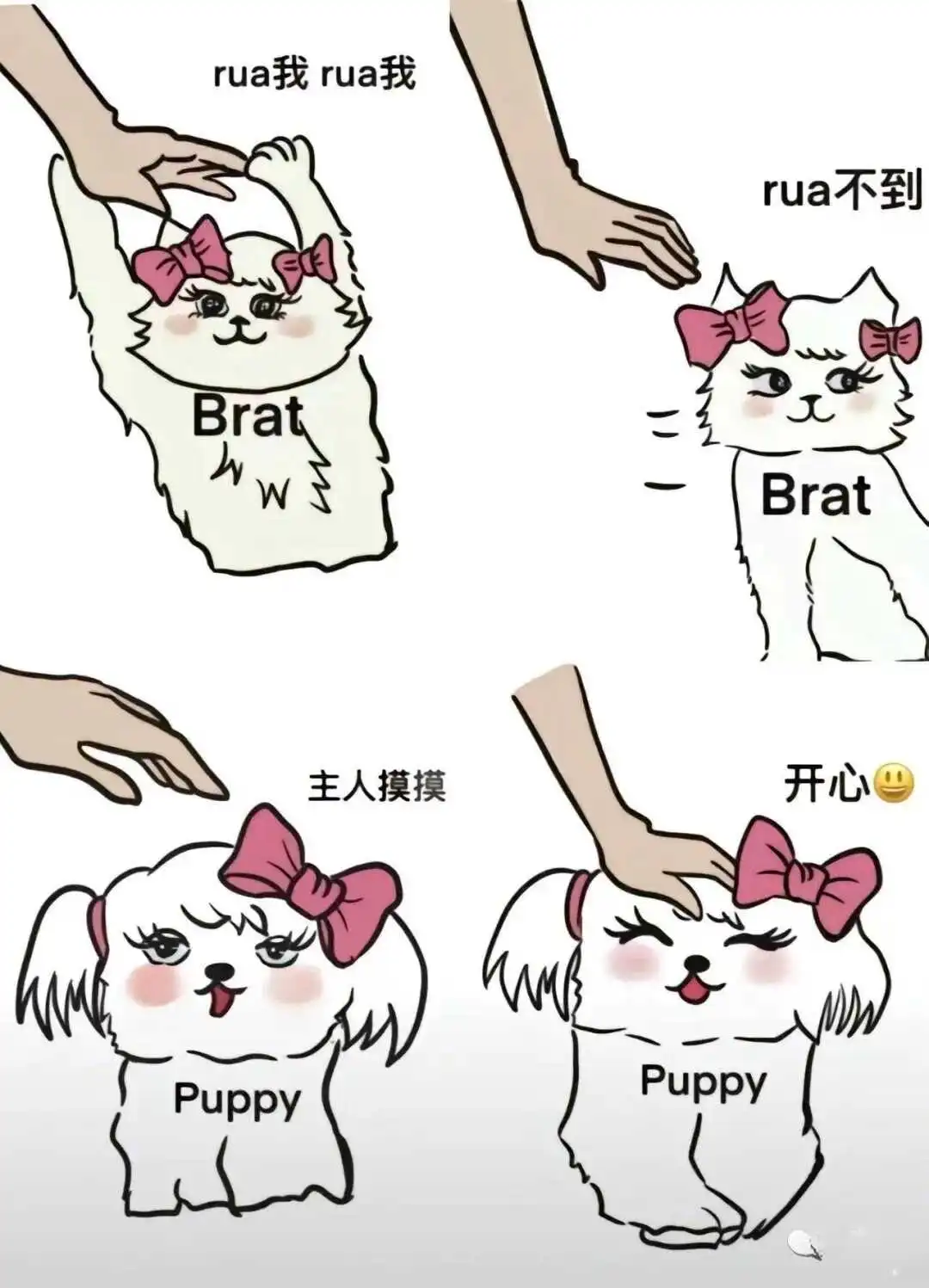 西檬之家Brat属性是什么?字母圈顽童解析 一