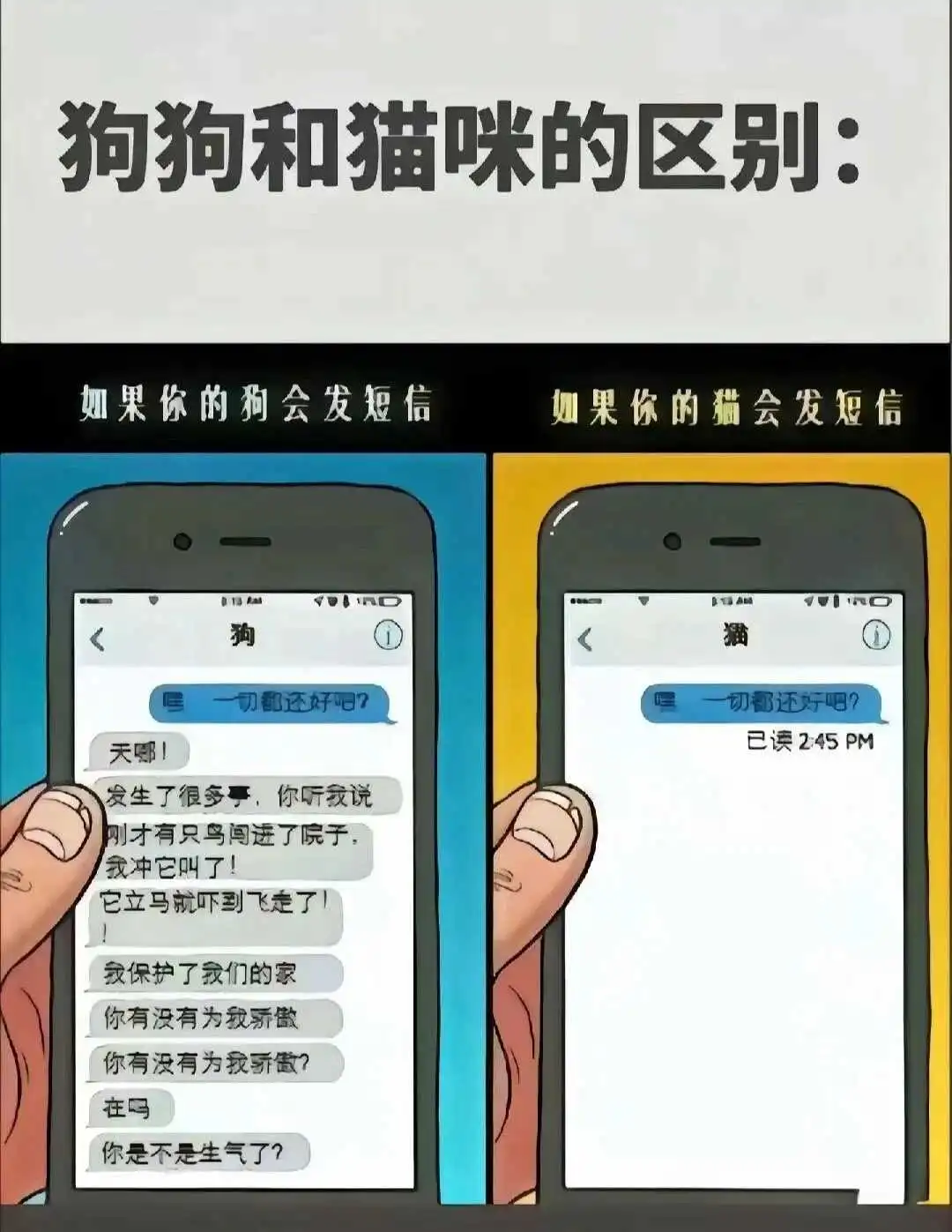 西檬之家s倾向是什么意思？字母圈新人入圈 一