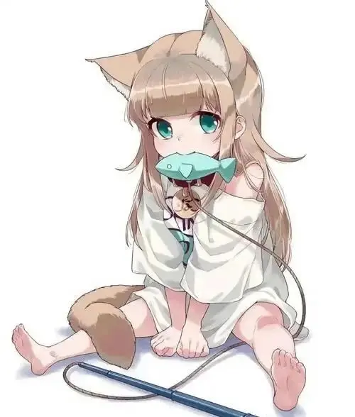 西檬之家BDSM是什么意思? 一