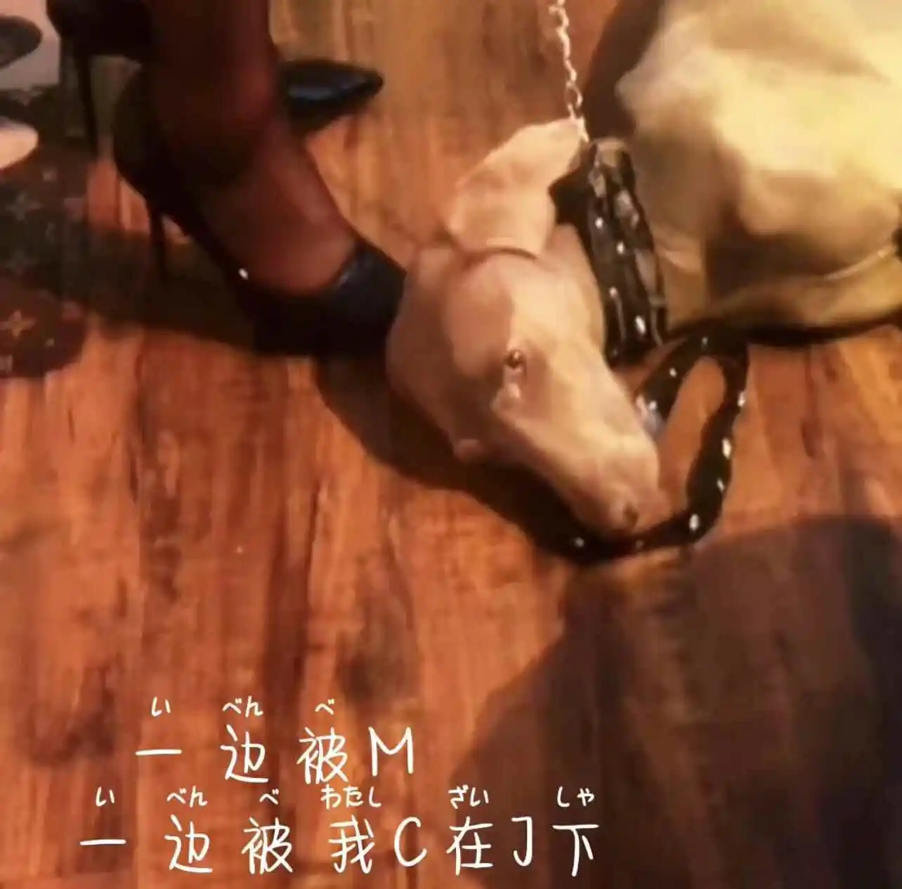 西檬之家圣水是什么？字母圈圣水是什么意思？ 一