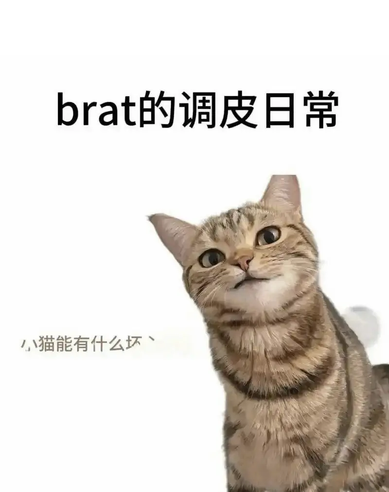 西檬之家字母圈女王是什么 一